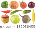 Assorted vegetables including bell pepper, pumpkin, tomato, onion, chili, cucumber, corn, squash, cabbage, and beetroot arranged on white background 132036455