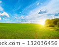Bright Dawn Scene with Young Wheat Sprouts and Sunshine on the Horizon 132036456