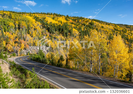 Scenic road with autumn scenery of yellow aspen at Rocky Mountain National Park in Colorado, USA. Scenic road with autumn scenery of yellow aspen at Rocky Mountain National Park in Colorado, USA. 132036601