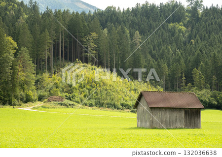 Lonely little house without windows in the middle of a lawn in the forest 132036638