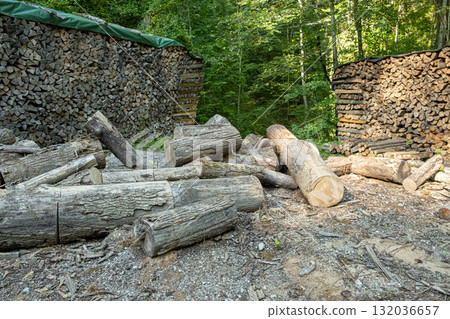 Logs at a sawmill in the forest, close-up 132036657