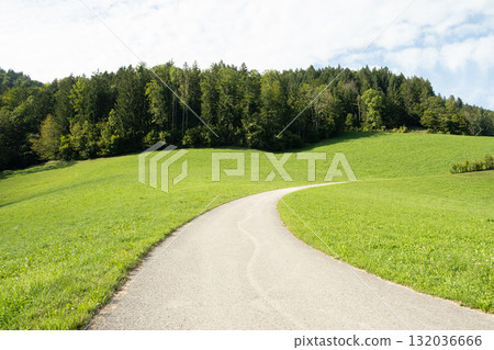Peaceful Summer Landscape with Path and Forest 132036666