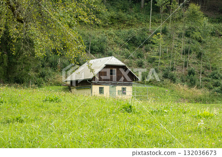 Lonely Cabin in the Forest, Secluded Woodland House Lonely Cabin in the Forest, Secluded Woodland House 132036673
