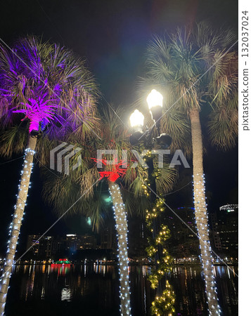 A bright lamp post stands among palm trees wrapped in twinkling lights. The reflections of city lights shimmer across the lake at night. A bright lamp post stands among palm trees wrapped in twinkling lights. The reflections of city lights shimmer across the lake at night. 132037024