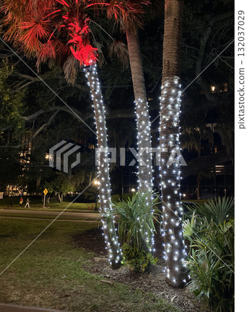 Palm trees decorated with white lights glow brightly against the night sky. Red and white illumination creates a tropical festive feeling. 132037029