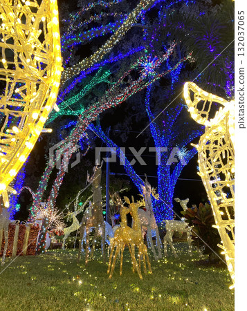 Golden and white reindeer glow under trees covered with colorful lights. The garden shines beautifully with festive energy and sparkling illumination. 132037065