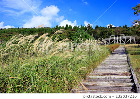 Japan's longest sleeper staircase (Yusui Town, Kagoshima Prefecture) Japan's longest sleeper staircase (Yusui Town, Kagoshima Prefecture) 132037210