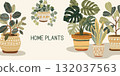 Horizontal botanical banner with home plants 132037563