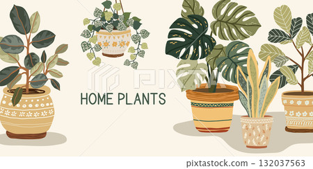 Horizontal botanical banner with home plants 132037563