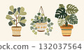 Flat cozy illustration of indoor plants  132037564