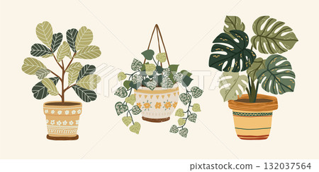 Flat cozy illustration of indoor plants Flat cozy illustration of indoor plants 132037564