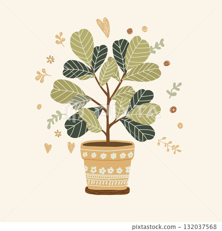 botanical art of a fiddle leaf fig botanical art of a fiddle leaf fig 132037568