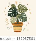 Tropical botanical illustration of monstera  132037581