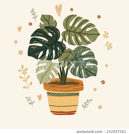 Tropical botanical illustration of monstera  132037581