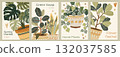 Vertical poster collection featuring houseplants 132037585