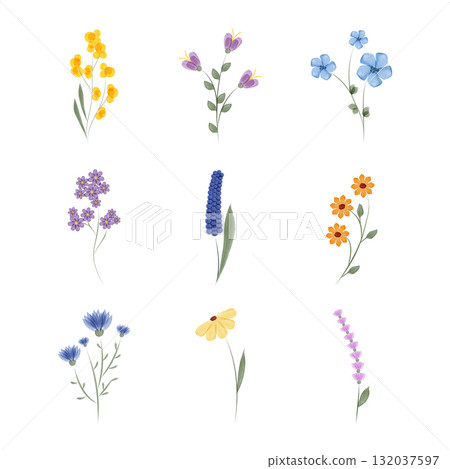 Nine individual watercolor flower illustrations, each a different species and color, are neatly arranged on a white background. Floral elements are isolated and presented. Nine individual watercolor flower illustrations, each a different species and color, are neatly arranged on a white background. Floral elements are isolated and presented. 132037597