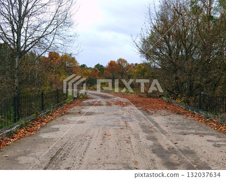 Autumn Landscape in a field with a river and trees with yellow leaves in rain. Autumn Bridge Autumn Landscape in a field with a river and trees with yellow leaves in rain. Autumn Bridge 132037634