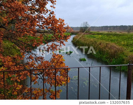 Autumn Landscape in a field with a river and trees with yellow leaves in rain. Autumn Bridge Autumn Landscape in a field with a river and trees with yellow leaves in rain. Autumn Bridge 132037635