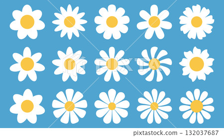 Set of simple white daisy flower head in flat cartoon style. 132037687