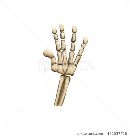 A digital PNG image featuring Halloween, Magic, and Day of the Dead. skeleton hand A digital PNG image featuring Halloween, Magic, and Day of the Dead. skeleton hand 132037716