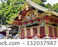 [Tochigi] Nikko Toshogu Shrine 132037987
