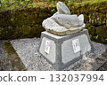 [Tochigi] Nikko Toshogu Shrine: Moss-covered stone lantern 132037994