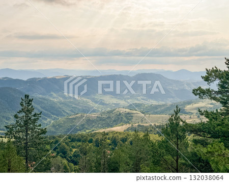 Dense pine forest in the foreground with rolling green hills and distant mountains under a  sky 132038064
