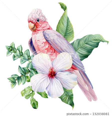 Watercolor Pink Cockatoo with White Hibiscus Flower Tropical Leaves Exotic Parrot Botanical Illustration for Summer Jungle Decor 132038081