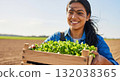 A smiling Hispanic female farmer carries a wooden crate of fresh green seedlings. Young woman planting crops in a sunny agricultural field. Sustainable farming and organic growth concept 132038365