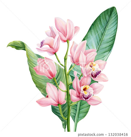 Watercolor Pink Orchid Flowers with Green Leaves Botanical Tropical Illustration Elegant Floral Design for Home and Wedding Decor 132038416