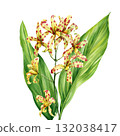 Watercolor Yellow Spotted Orchid Flowers with Green Leaves Botanical Exotic Tropical Illustration Bright Floral Art 132038417