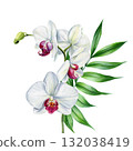 Watercolor White Orchid Flowers with Green Leaves Botanical Illustration Elegant Tropical Floral Design for Wedding or Home Decor 132038419