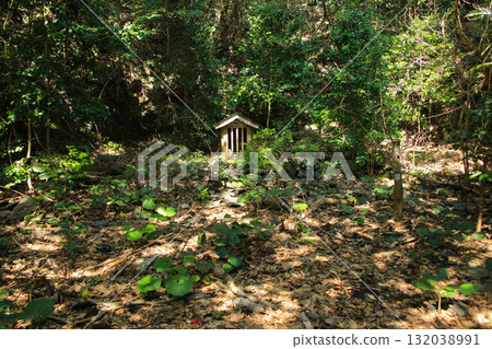 愛媛郡愛南町由良權現神社 132038991