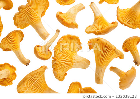 Assortment of fresh yellow chanterelle mushrooms scattered randomly, autumn harvest ingredient isolated on transparent background Assortment of fresh yellow chanterelle mushrooms scattered randomly, autumn harvest ingredient isolated on transparent background 132039128