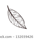 An autumn leaf hand-drawn in ink and translated into a vector. Vector illustration for printing on paper, fabric, postcards and invitations. 132039426