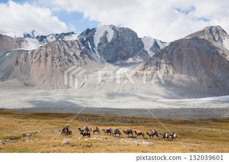 Herd of camels crossing the Altai Tavan Bogd National Park, Mongolia Herd of camels crossing the Altai Tavan Bogd National Park, Mongolia 132039601