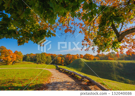 A Stunning Autumn Landscape Featuring Vibrant Trees, Bright Colors, and a Clear Blue Sky A Stunning Autumn Landscape Featuring Vibrant Trees, Bright Colors, and a Clear Blue Sky 132040086