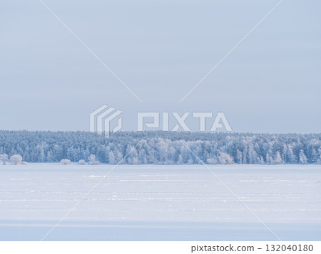 Snow-Covered Lake Shore with Ice, Pine Forest on Shore, Beautiful Winter Landscape with snow covered trees 132040180