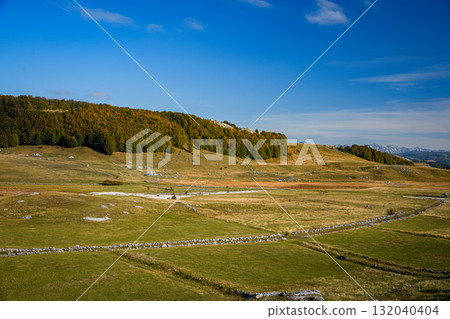 Scenic autumn view of an open field with distant forest under clear blue sky. Peaceful fall landscape with golden tones and countryside atmosphere, ideal for nature and travel themes. 132040404