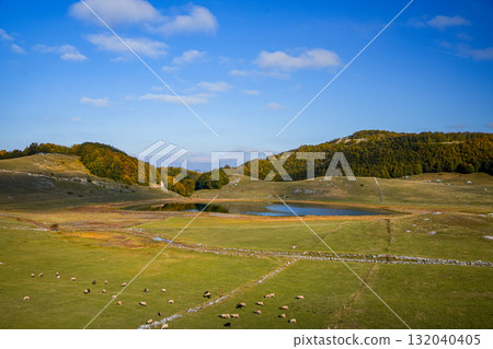 Peaceful autumn countryside scene with a flock of sheep grazing in an open field, a calm lake in the background, and a hilly forest covered with golden trees. Scenic rural landscape in warm fall 132040405
