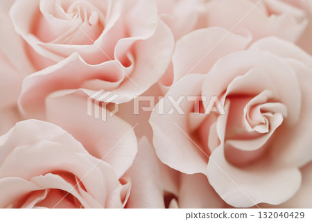 Soft pink rose petals close up with gentle light Soft pink rose petals close up with gentle light 132040429