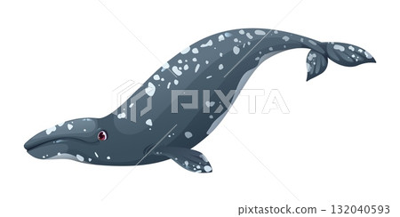 Cartoon cute gray whale whale character. Underwater life big mammal cute character, ocean marine animal happy vector cartoon mascot. Ocean fauna whale specie funny isolated personage 132040593
