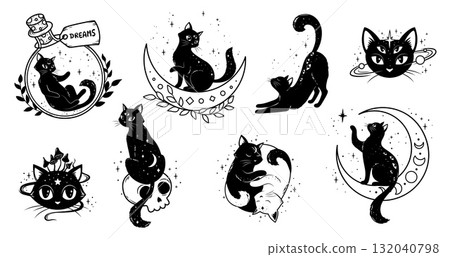 Mystic magic black cats, moon and stars, witchcraft and astrology vector symbols. Mystic celestial cats animals with dreams bottle, skull and mushroom line art signs for gothic tarot or tattoo 132040798