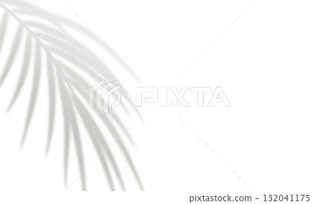 Realistic gray blurred shadows of tropical palm leaves 132041175