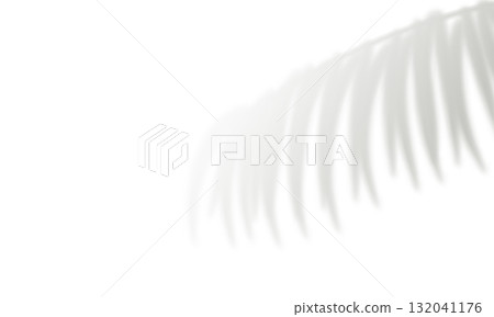 Realistic palm leaf shadow. Gray blurred shadows of plant foliage Realistic palm leaf shadow. Gray blurred shadows of plant foliage 132041176