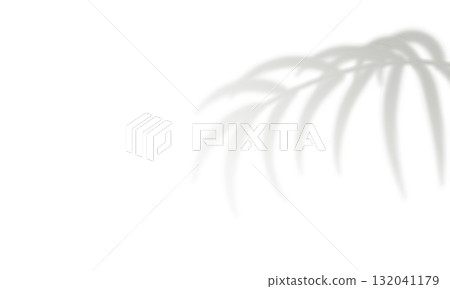 Realistic blurred palm leaf shadow. Gray shadows tropical leaves 132041179