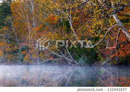 Autumn leaves of Onneto 132041657