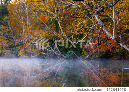 Autumn leaves of Onneto 132041658