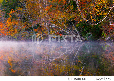 Onneto秋葉 132041660