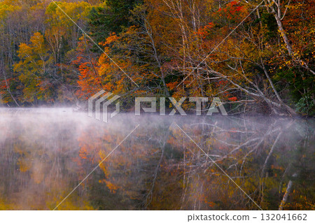 Onneto秋葉 Onneto秋葉 132041662